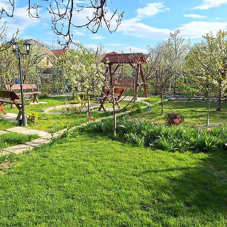 Bed and Breakfast Trend Arad Exterior foto