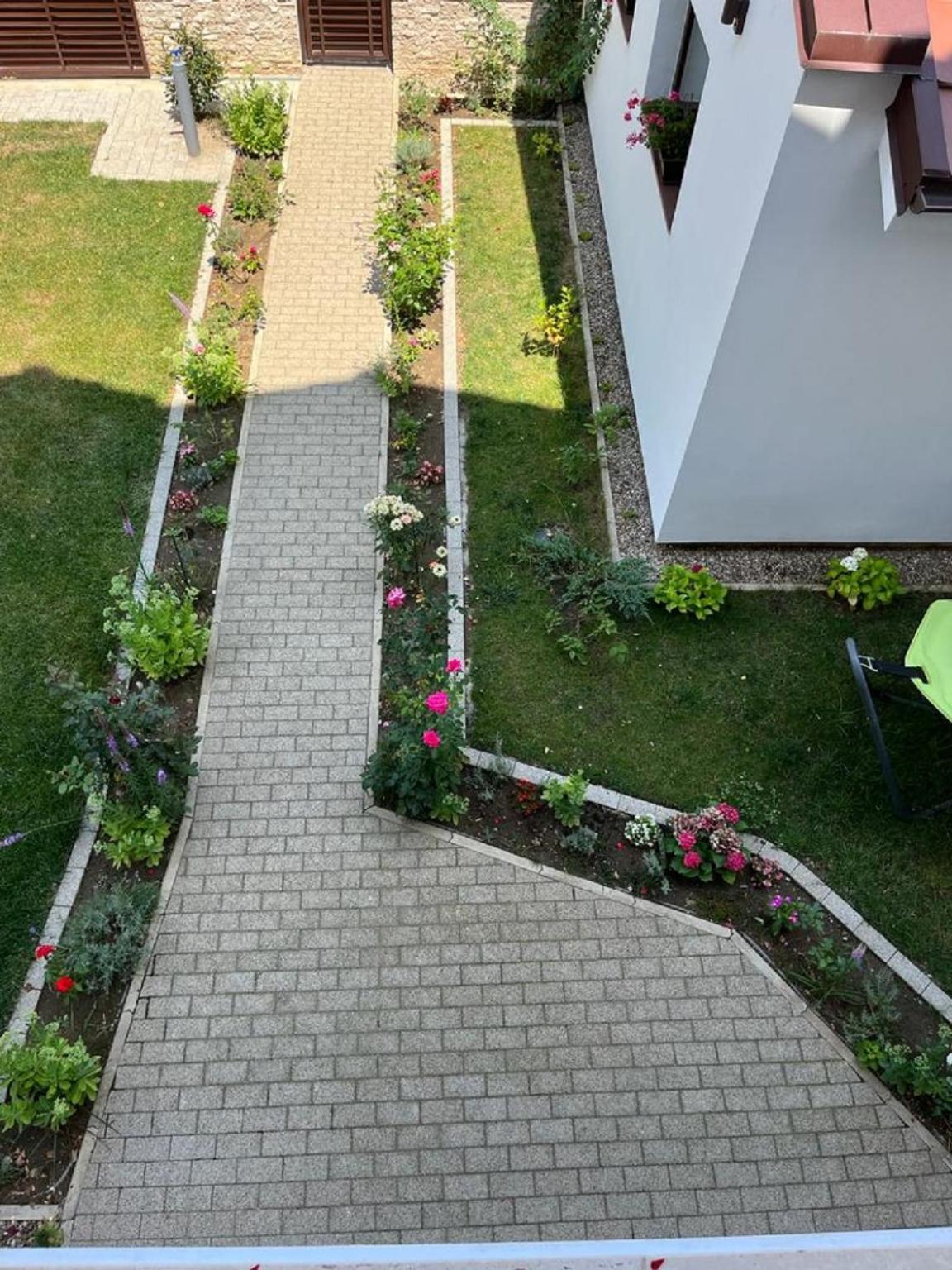 Bed and Breakfast Trend Arad Exterior foto